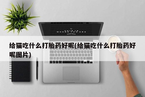 米非米索打胎药联系方式堕胎药购买途径给猫吃什么打胎药好呢(给猫吃什么打胎药好呢图片)